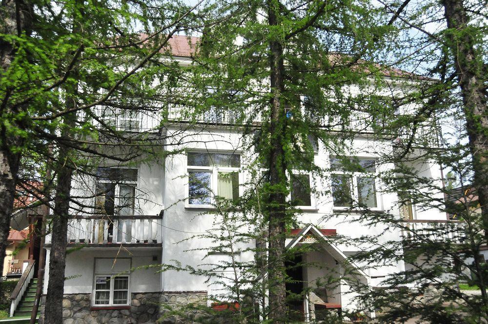 Zlocien *