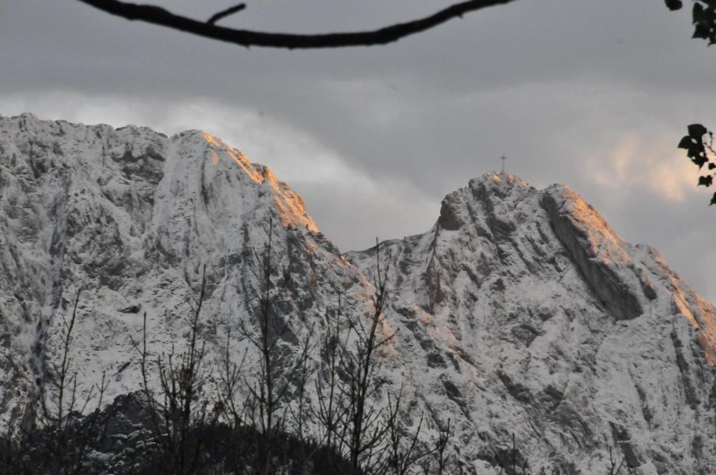 Zlocien Homestay Zakopane