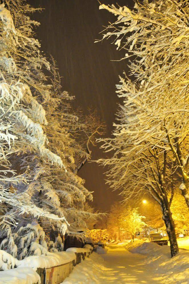 Zlocien Homestay *